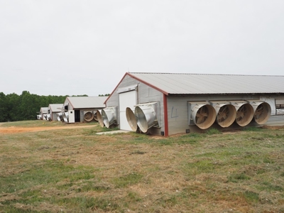 6 House Poultry Broiler Farm for Sale South MS - image 9