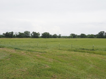 Listing 44