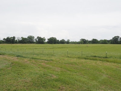 6 House Poultry Broiler Farm for Sale South MS - image 44