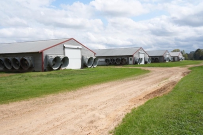 Listing 44