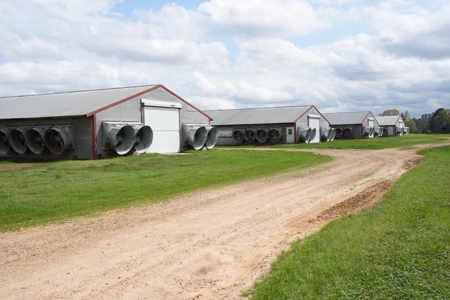 6 House Poultry Broiler Farm for Sale South MS - image 5