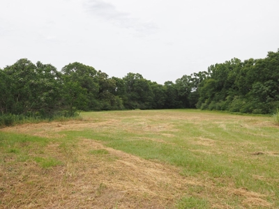 6 House Poultry Broiler Farm for Sale South MS - image 42