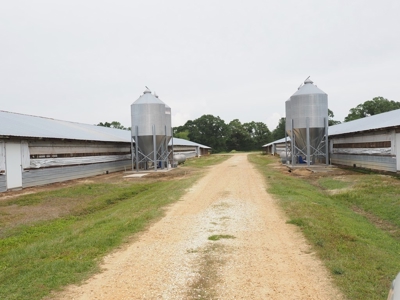 6 House Poultry Broiler Farm for Sale South MS - image 12