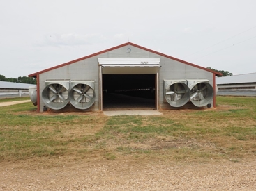 Listing 44
