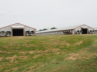 Listing 44