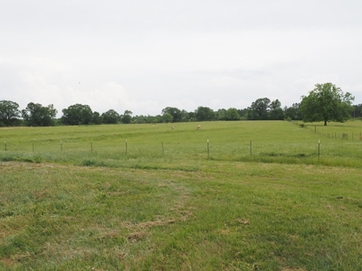 6 House Poultry Broiler Farm for Sale South MS - image 43