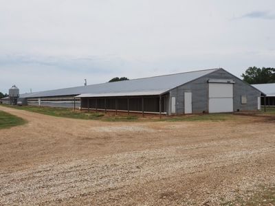 6 House Poultry Broiler Farm for Sale South MS - image 19