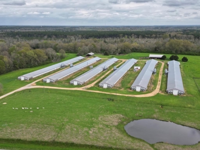 6 House Poultry Broiler Farm for Sale South MS - image 1