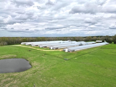 6 House Poultry Broiler Farm for Sale South MS - image 2