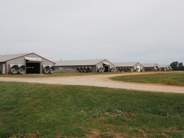 Listing 44