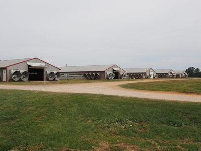 6 House Poultry Broiler Farm for Sale South MS - image 11