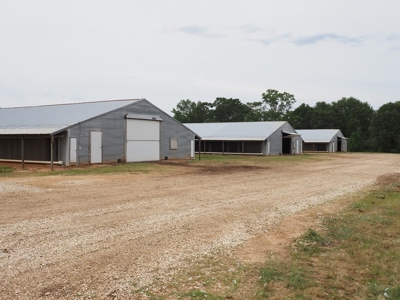 6 House Poultry Broiler Farm for Sale South MS - image 16