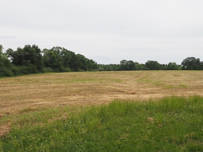 6 House Poultry Broiler Farm for Sale South MS - image 41