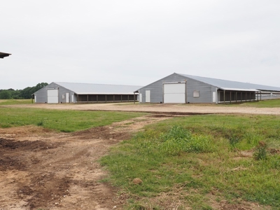 6 House Poultry Broiler Farm for Sale South MS - image 21