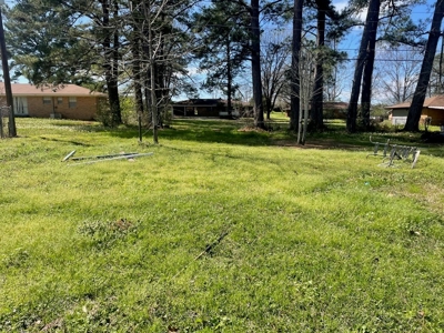 Home in The Heart of The City- Monticello, MS - image 24