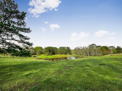 Custom Home on 50ac for Sale in Southeast LA - image 12