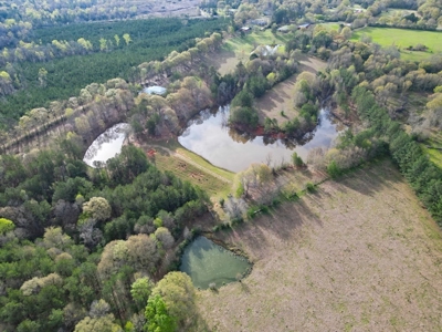 Custom Home on 50ac for Sale in Southeast LA - image 40