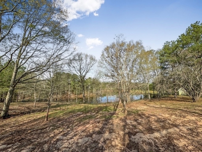 Custom Home on 50ac for Sale in Southeast LA - image 17