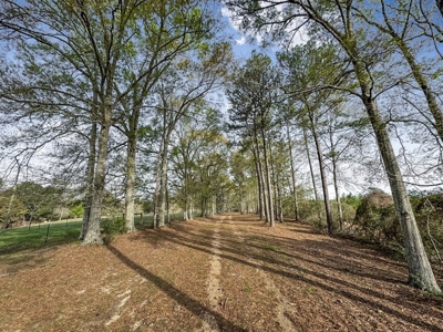 Custom Home on 50ac for Sale in Southeast LA - image 15