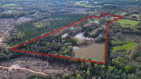 Custom Home on 50ac for Sale in Southeast LA - image 2