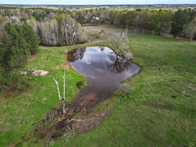 Custom Home on 50ac for Sale in Southeast LA - image 44