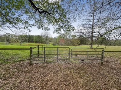 Custom Home on 50ac for Sale in Southeast LA - image 35
