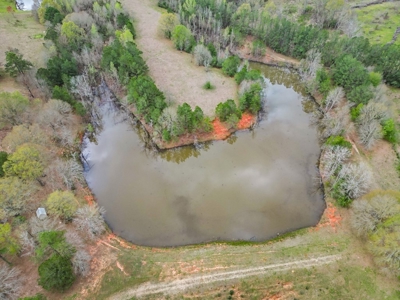 Custom Home on 50ac for Sale in Southeast LA - image 5
