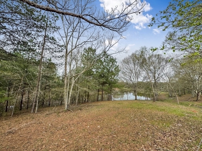 Custom Home on 50ac for Sale in Southeast LA - image 33