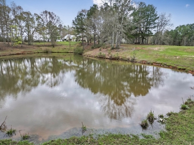 Custom Home on 50ac for Sale in Southeast LA - image 6