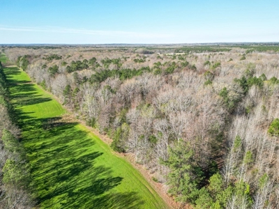 Country Home and Land for Sale in Hinds County, MS - image 8