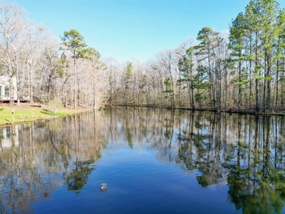 Country Home and Land for Sale in Hinds County, MS - image 4