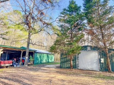 Country Home and Land for Sale in Hinds County, MS - image 28