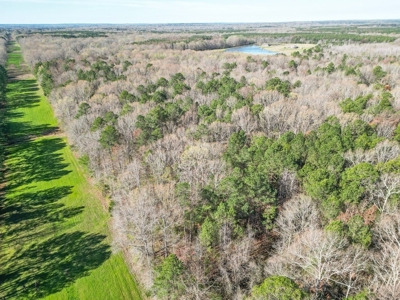 Country Home and Land for Sale in Hinds County, MS - image 10