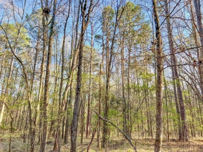 Country Home and Land for Sale in Hinds County, MS - image 31