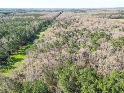 Country Home and Land for Sale in Hinds County, MS - image 11