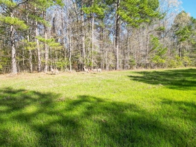 Country Home and Land for Sale in Hinds County, MS - image 12