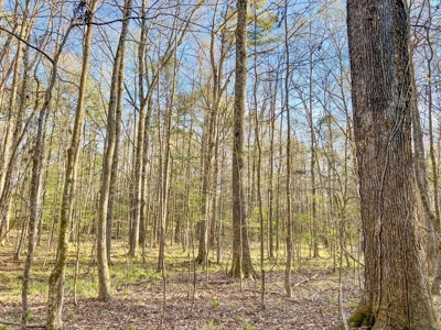 Country Home and Land for Sale in Hinds County, MS - image 35