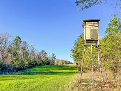 Country Home and Land for Sale in Hinds County, MS - image 26