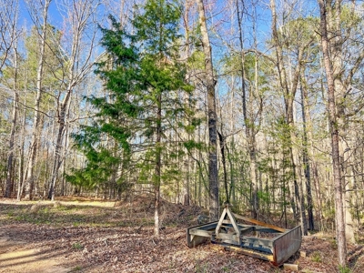 Country Home and Land for Sale in Hinds County, MS - image 17