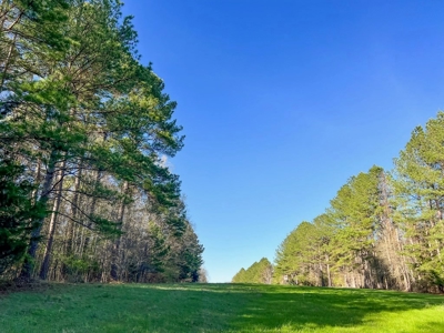 Country Home and Land for Sale in Hinds County, MS - image 23
