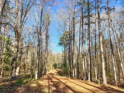 Country Home and Land for Sale in Hinds County, MS - image 20
