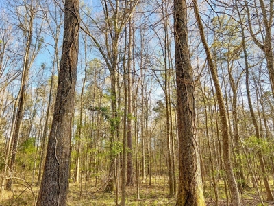 Country Home and Land for Sale in Hinds County, MS - image 34