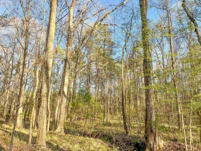 Country Home and Land for Sale in Hinds County, MS - image 33
