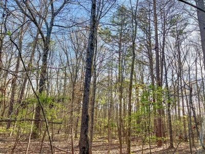 Country Home and Land for Sale in Hinds County, MS - image 18