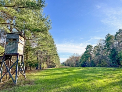 Country Home and Land for Sale in Hinds County, MS - image 25