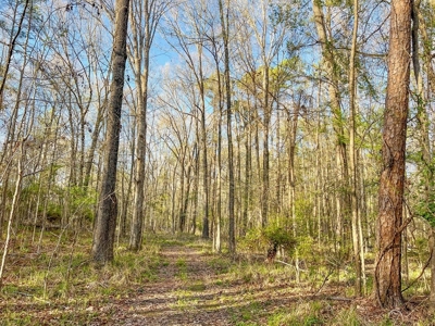 Country Home and Land for Sale in Hinds County, MS - image 36