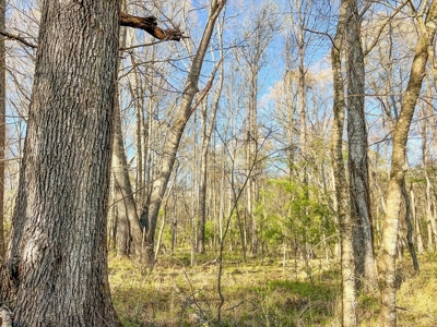 Country Home and Land for Sale in Hinds County, MS - image 22