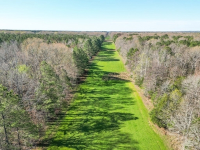 Country Home and Land for Sale in Hinds County, MS - image 9