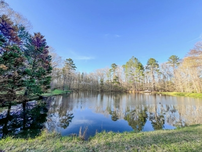 Country Home and Land for Sale in Hinds County, MS - image 37