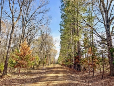 Country Home and Land for Sale in Hinds County, MS - image 21